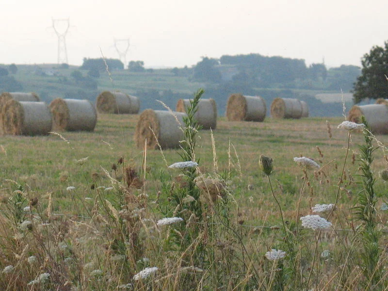 Randonnée Le Serre du Puy