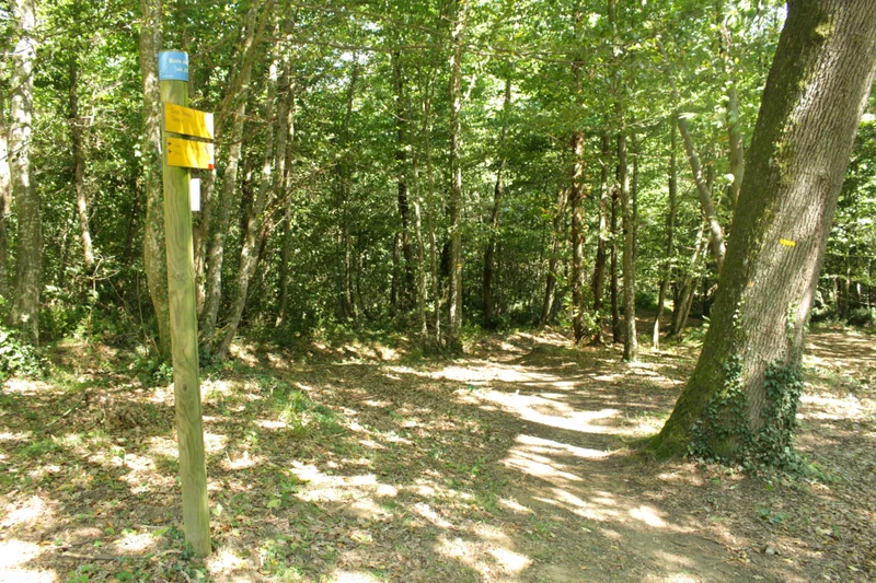 Randonnée Le bois de la Garde · Saint-Donat-sur-l'Herbasse