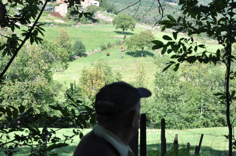 Randonnée La Daronne