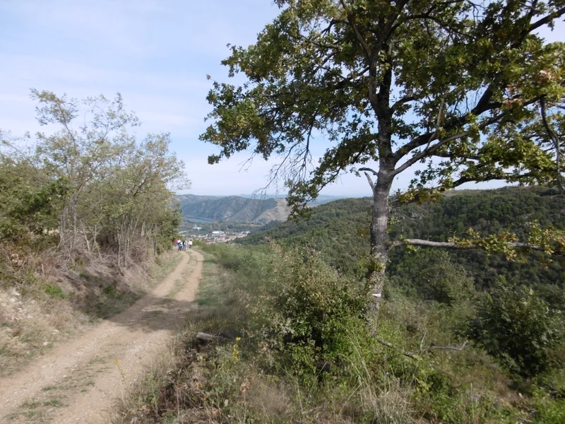 Randonnée Chemins panoramiques