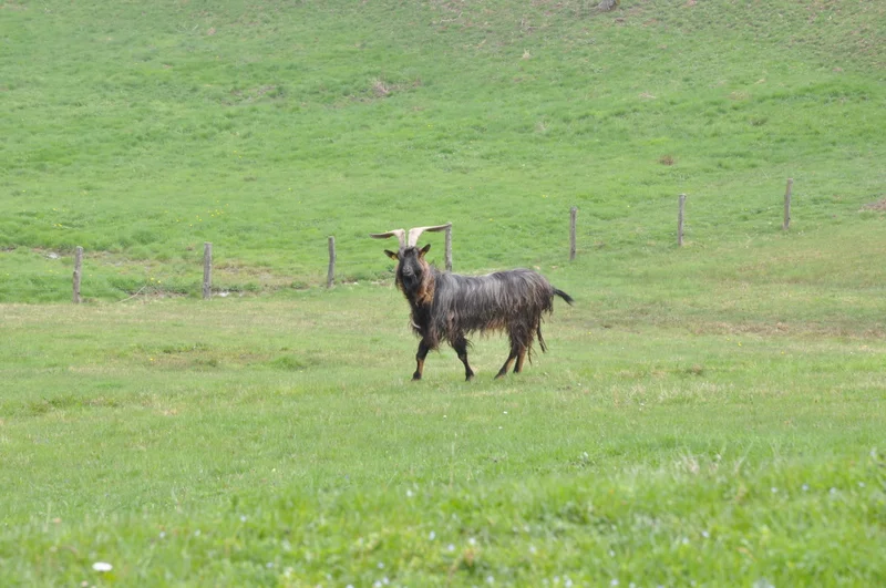 Randonnée De Brudon à Sauze