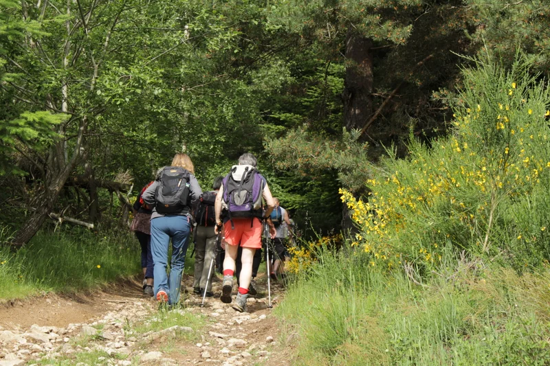Randonnée Tour d'Arthemonay · Arthémonay