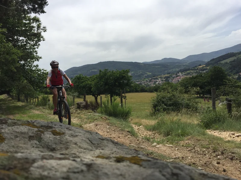 VTT Bois Madame