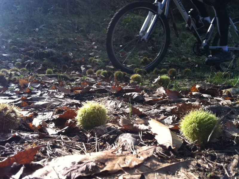 VTT Col du Buisson