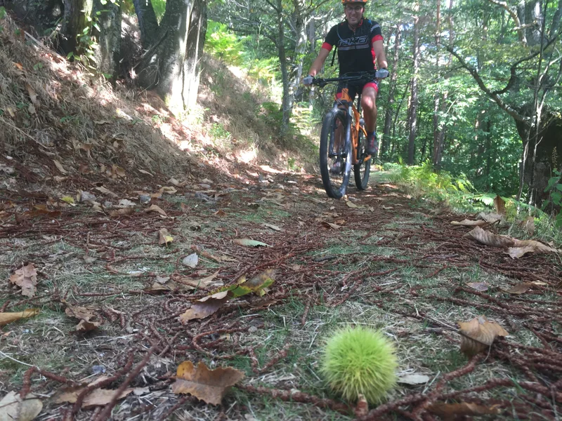 VTT La Saint Régis (Lalouvesc - Sarras difficile)