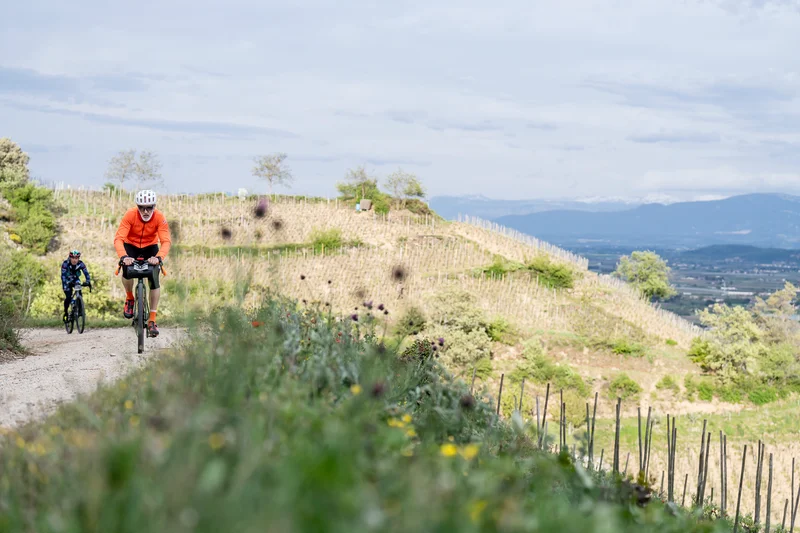 Vélo de route Saint Joseph S · Tournon-sur-Rhône