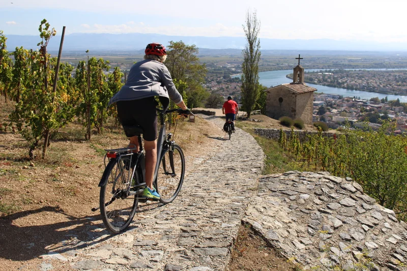 Vélo de route Entre vignes et vergers