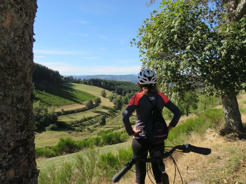 Vélo de route La panoramique