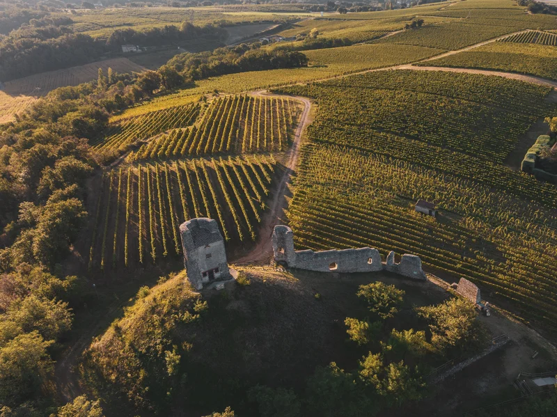 Vélo de route Crozes-Hermitage - Sentier oenotouristique - Détours en vignes