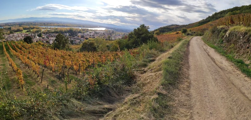 Randonnée Piste de Rôle - marche nordique