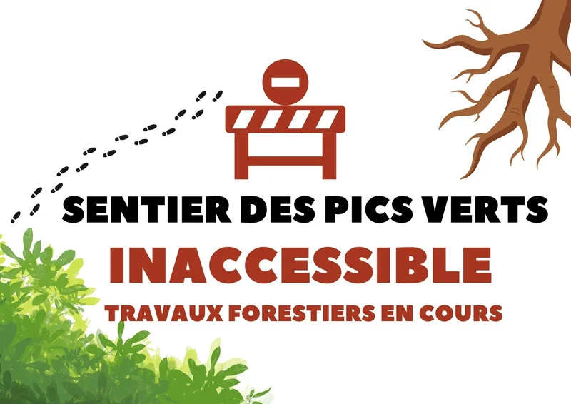 Randonnée Sentier des Pics Verts · Saint-Sernin-sur-Rance