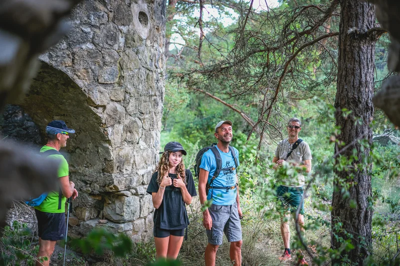 Randonnée Route forestière de Brante