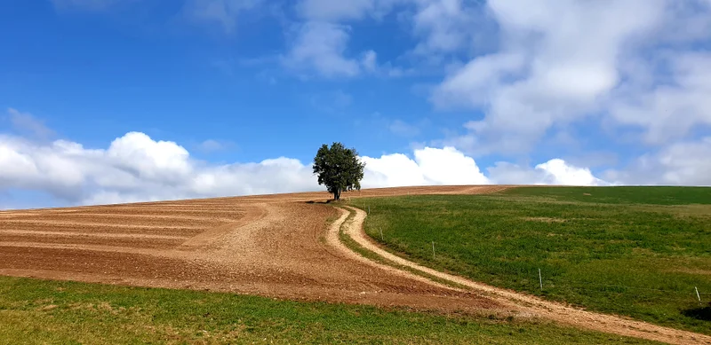Randonnée De Saint-Felix à la Loubière