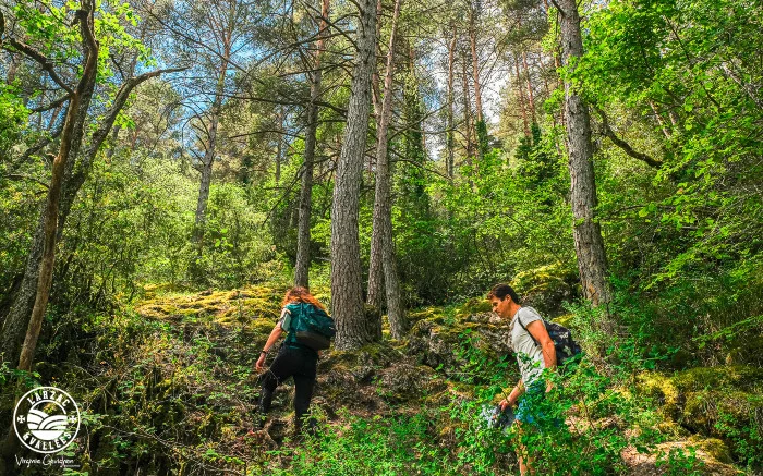 Randonnée La Source du Durzon - Canalettes