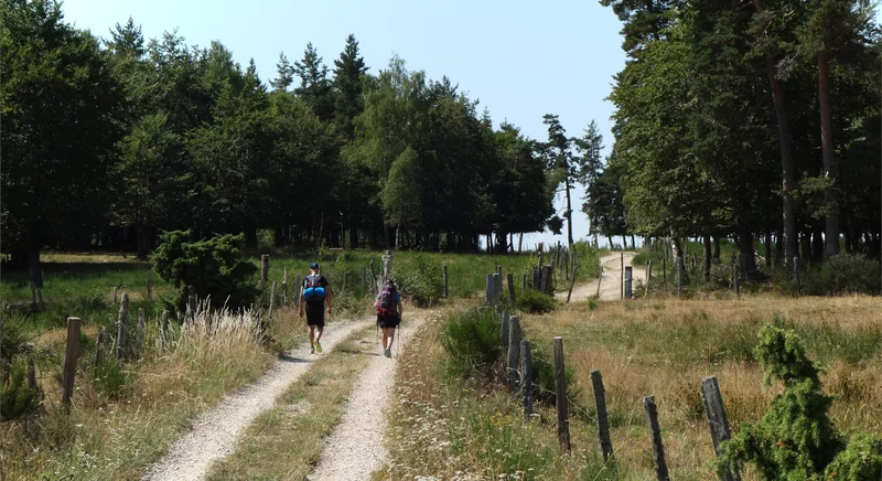 Randonnée GR® de Pays Tour des Monts d'Aubrac : D'Aumont-Aubrac à La Baume