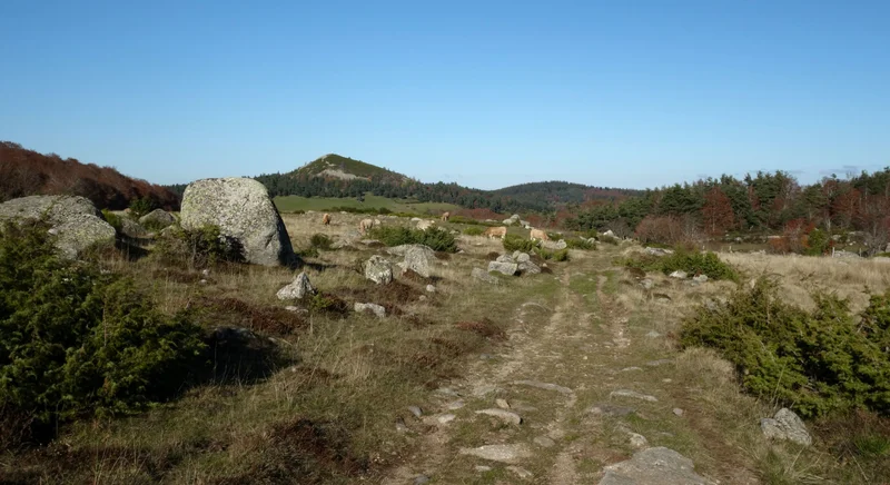 Randonnée GR® de Pays Tour des Monts d'Aubrac : De la Baume à Bonnecombe