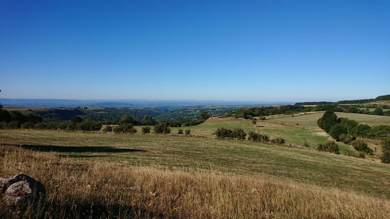 Randonnée GR® de Pays Tour des Monts d'Aubrac : De Saint-Chély-d'Aubrac à Laguiole