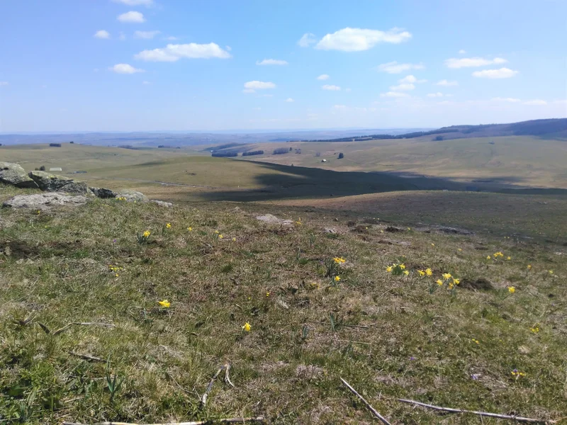 Randonnée GR® de Pays Tour des Monts d'Aubrac : De Laguiole à Saint-Urcize