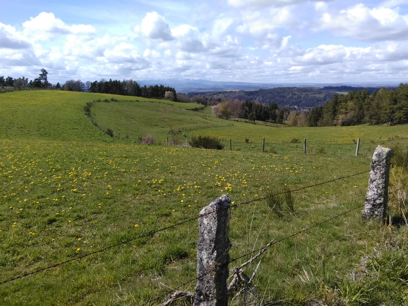 Randonnée GR® de Pays Tour des Monts d'Aubrac : De La Chaldette à Termes