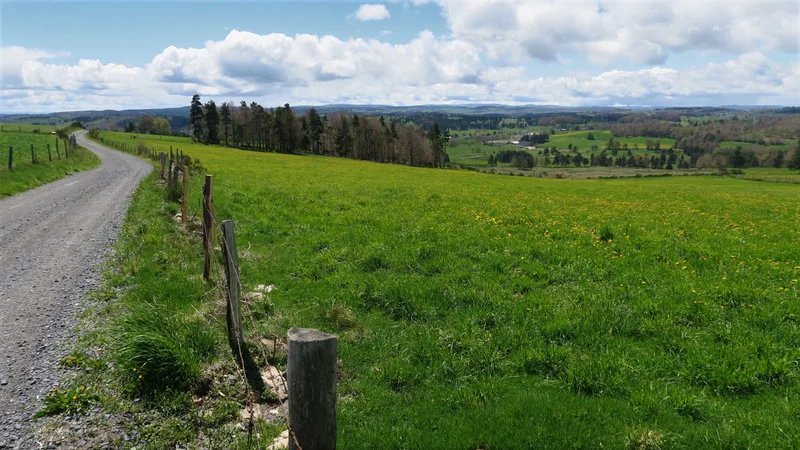 Randonnée GR® de Pays Tour des Monts d'Aubrac : De Termes à Aumont-Aubrac