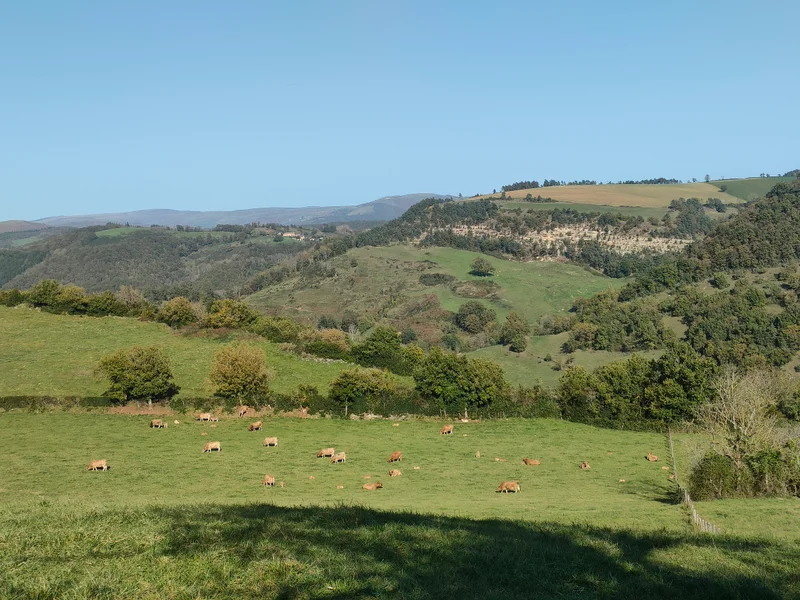 Randonnée Vallée de la Serre