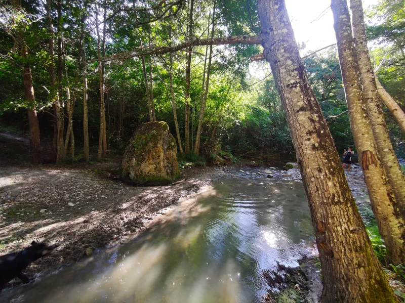 Randonnée Sentier du Menhir · Lauras