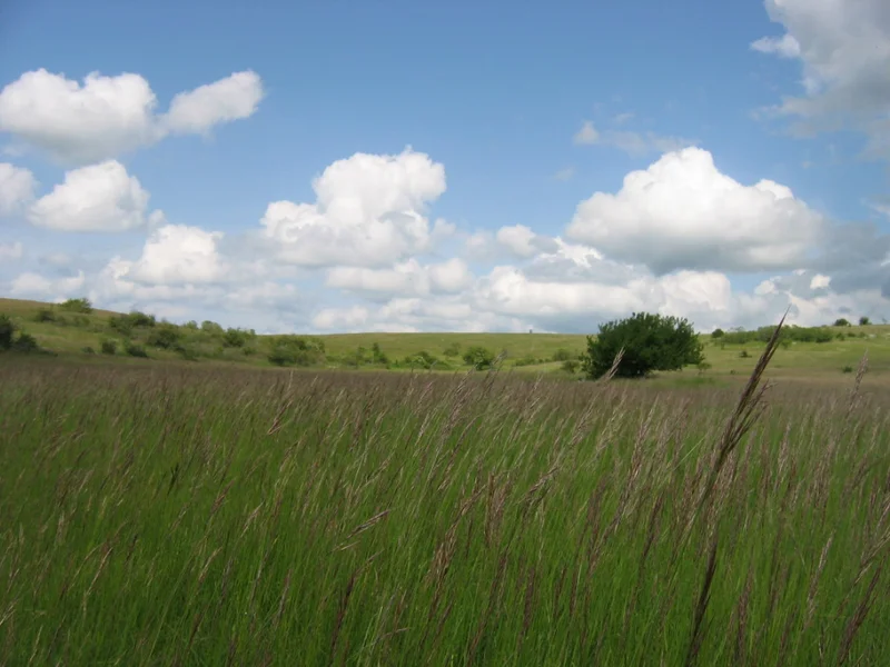 Randonnée Recoules de l'hom