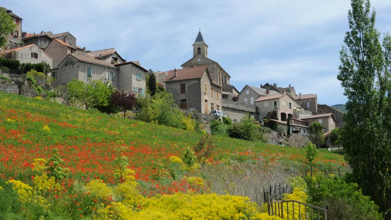 Randonnée Puech de Luzergue · Compeyre