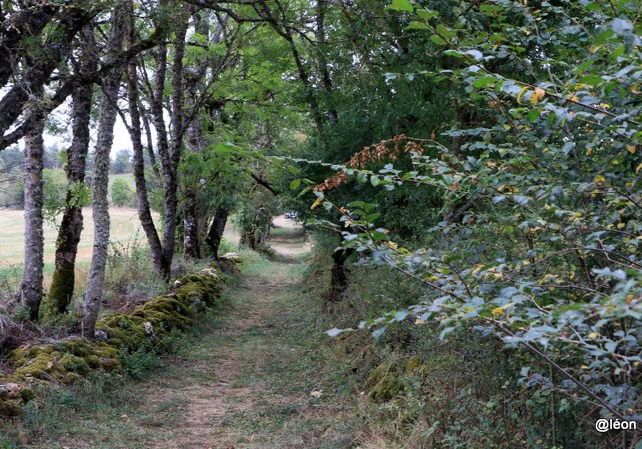 Randonnée Autour du hameau du Gazy