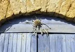 Randonnée Cadoule (variante) · La Canourgue