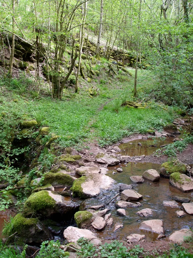 Randonnée Sentier du souvenir — Belmont-sur-Rance