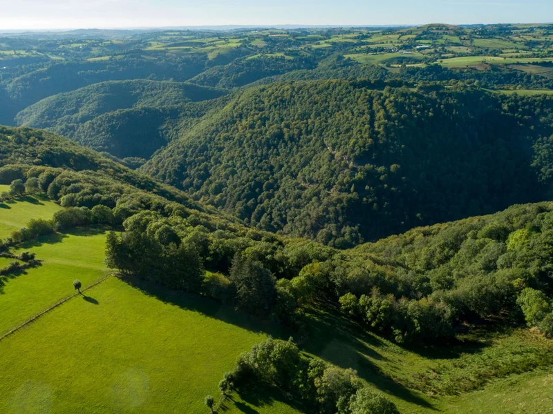 Randonnée Le circuit du Cerf