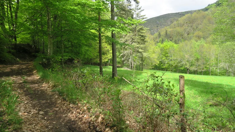 Randonnée Le chemin du Bouchet