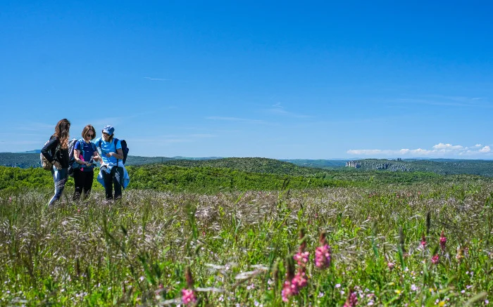 Randonnée Le Tour du Larzac par le GR®71 D