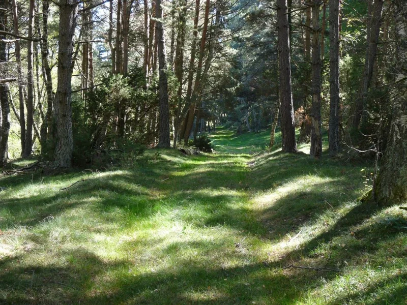 Randonnée La Moulin de la Combe