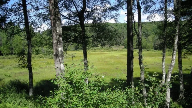 Randonnée Les Mazes