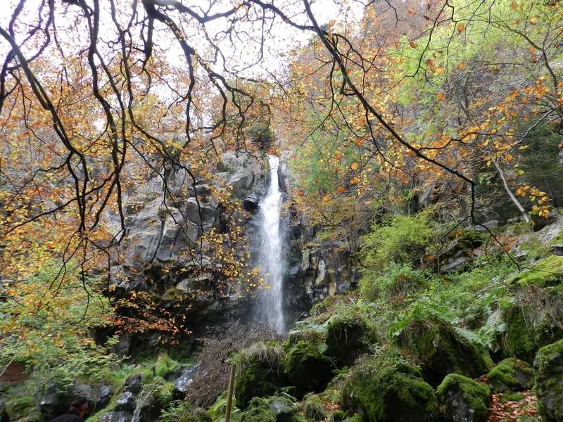 Randonnée Cascade du Devez, circuit long. Sentier inaccessible (Exploitation forestière ONF en cours)