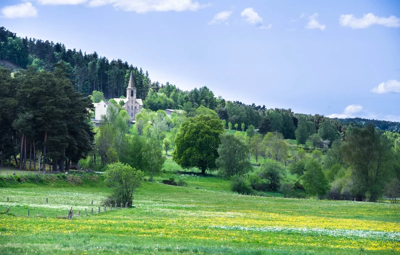 Randonnée La Forêt de la Tourre - Parcours n°1