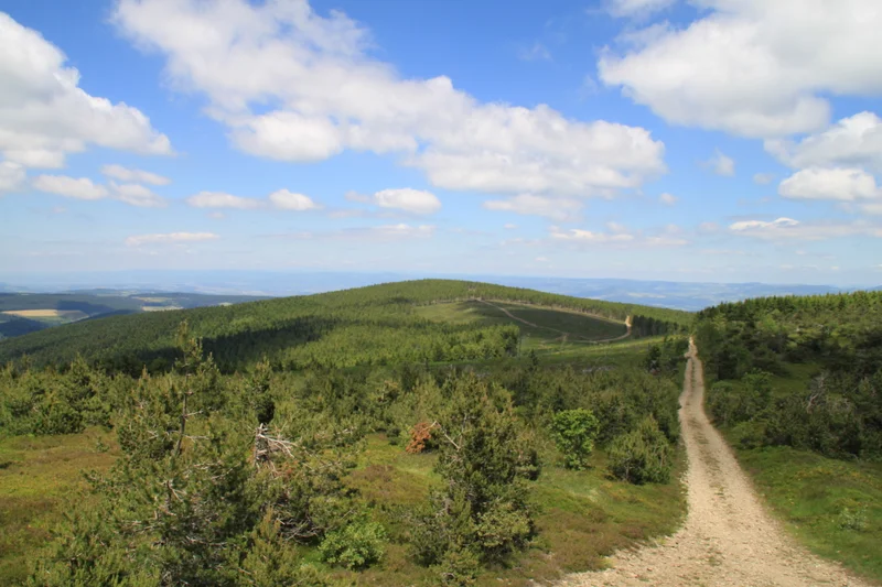 Randonnée Le Mont Mouchet - Parcours N° 16