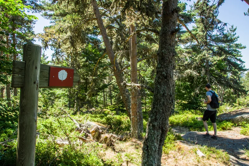 Randonnée Les Tourbières de Lajo - Parcours n°22 · Lajo