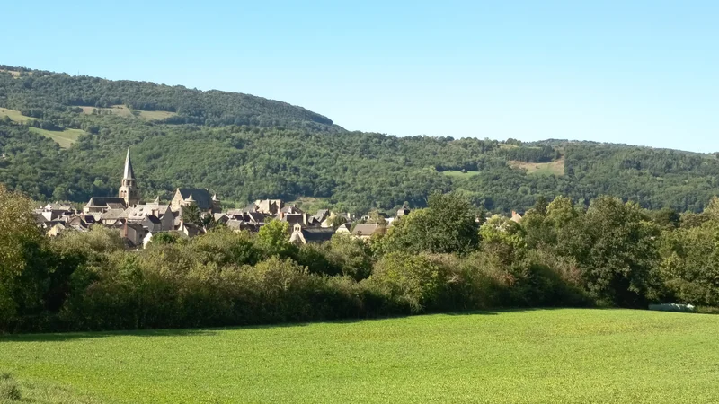 Randonnée Les vieilles vignes