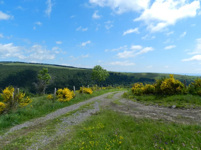 Randonnée La croix du Pal
