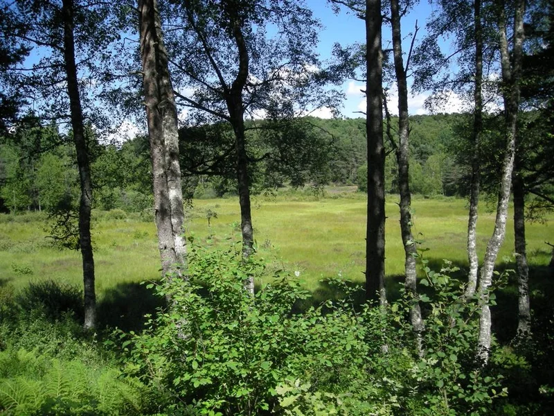 Randonnée Sentier d'interprétation de la Vergne des Mazes