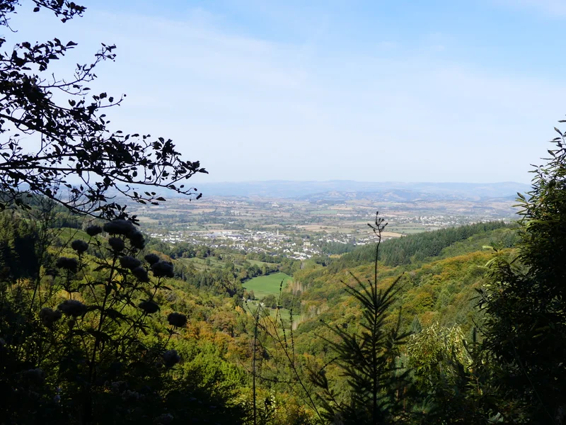 Randonnée La forêt des Palanges