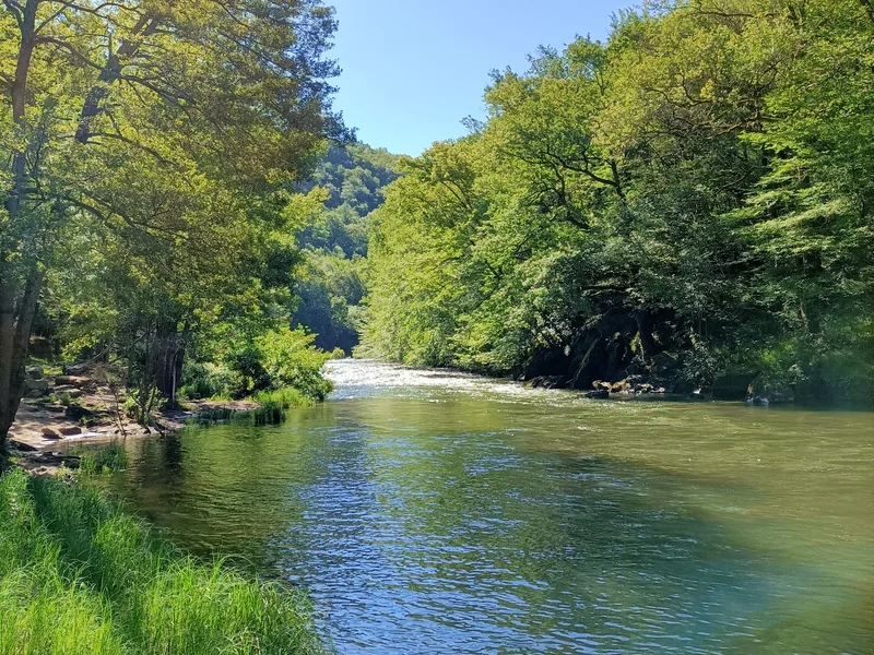 Randonnée Sentier ENS Basse Vallée du Viaur — Bar