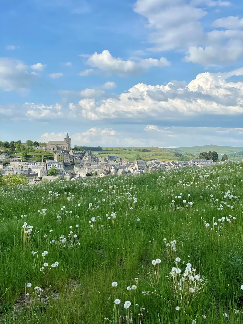 Randonnée Le Puech du loup