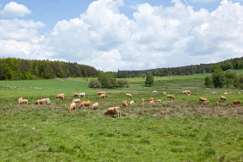 Randonnée Les Granges
