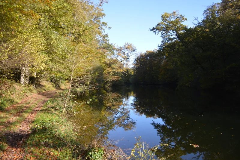 Randonnée Boucle A des Etangs du Ségala: Etangs de Roussennac et Bournazel · Roussennac