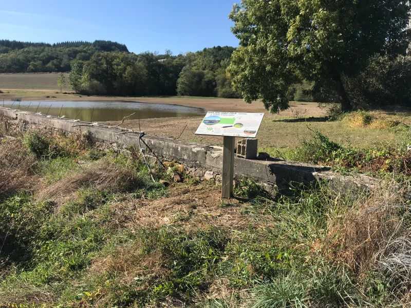 Randonnée Boucle B des étangs du Ségala: Etangs de Privezac et d'Anglarès · Anglars