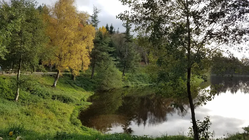 Randonnée Le Moulin de Bruel · Rieupeyroux
